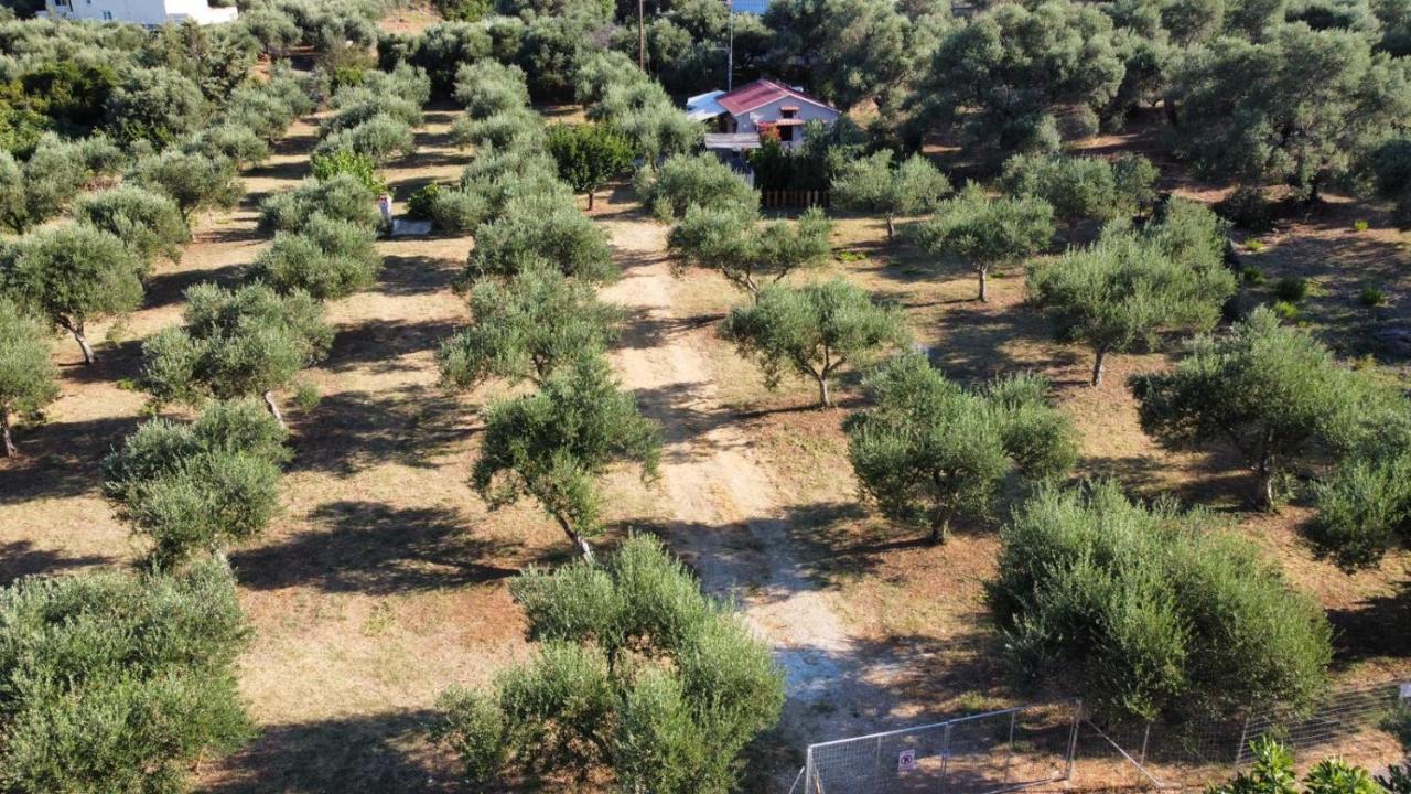 Olea Cottage Γαλατάς Εξωτερικό φωτογραφία